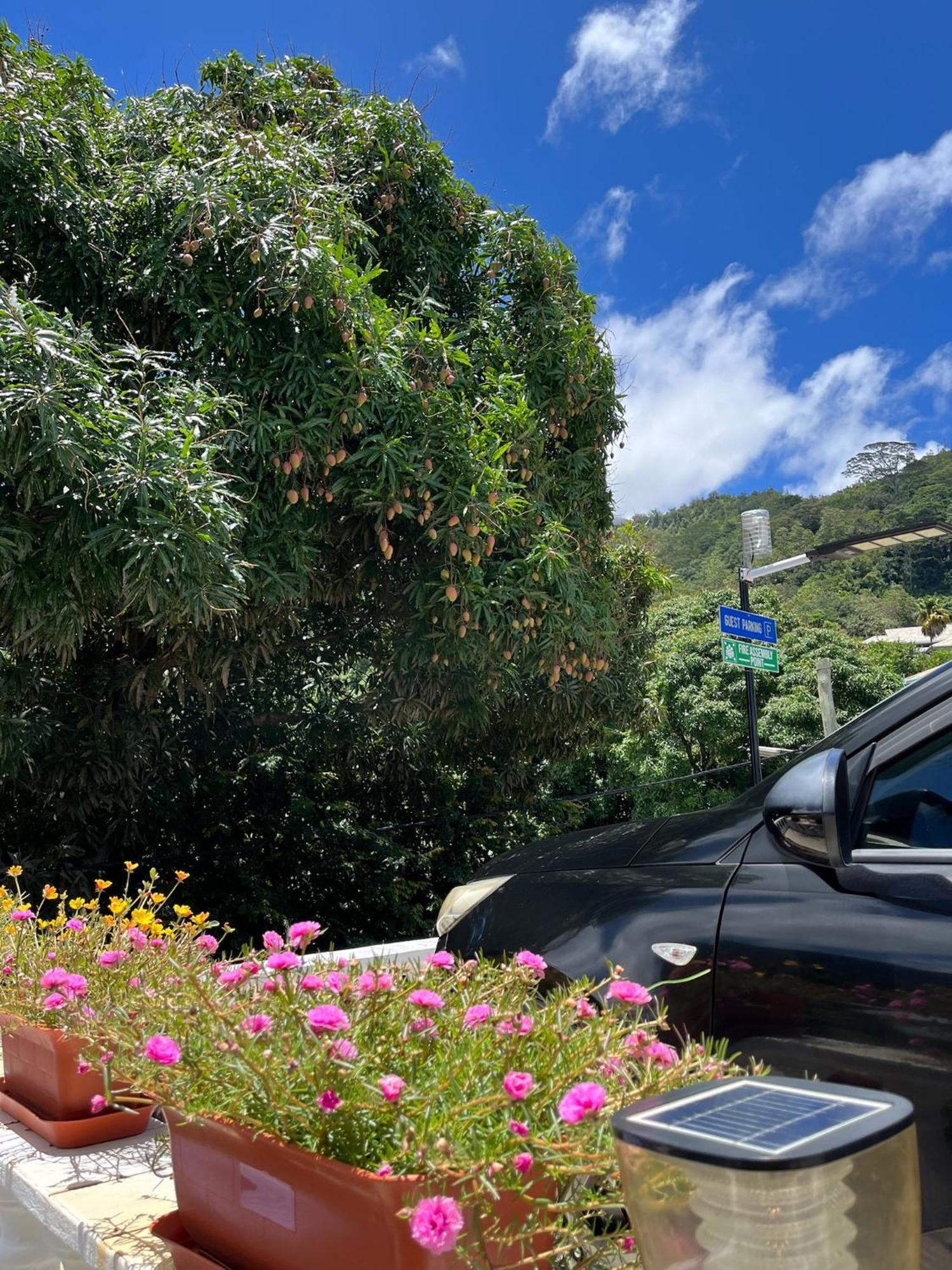 360 Degrees Villa ヴィクトリア エクステリア 写真